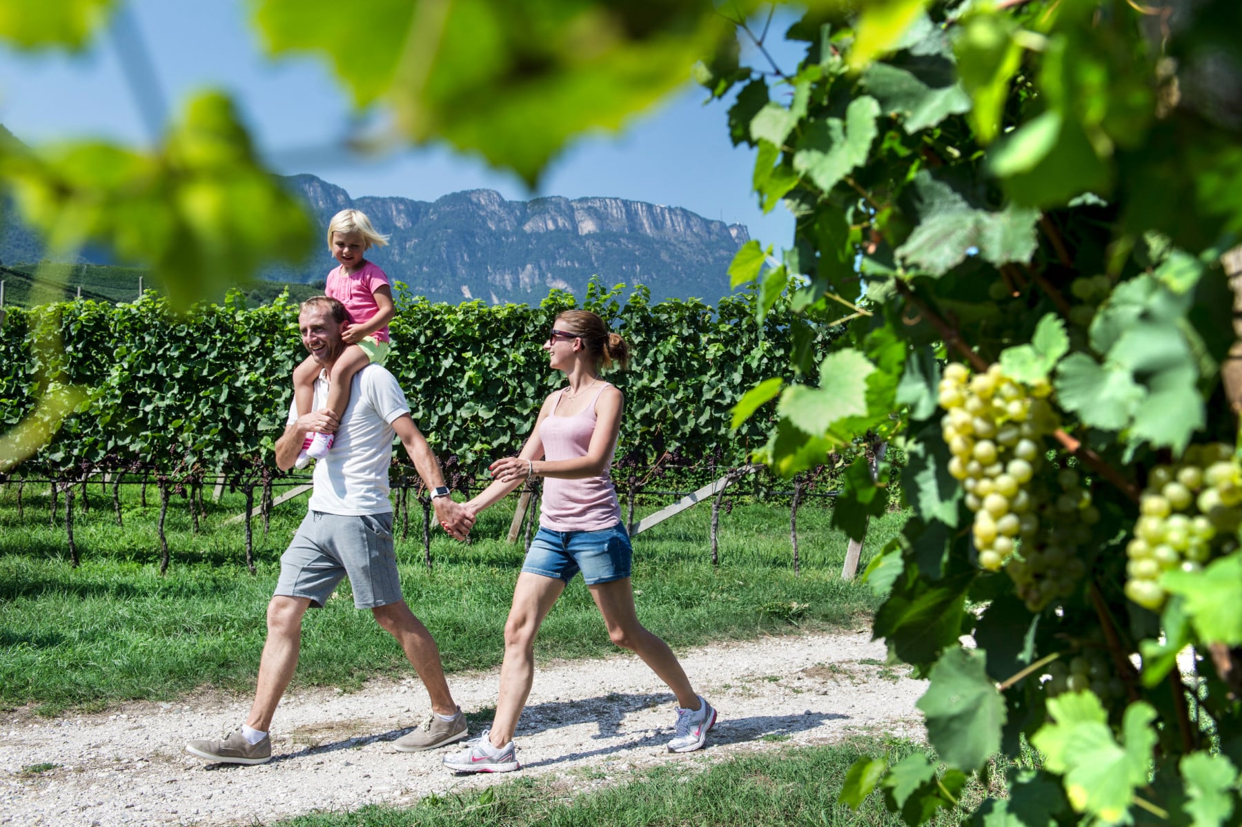 couple walking in the vineyard